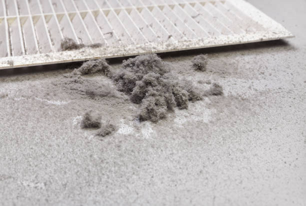 Best Professional Duct Cleaning Services  in Larksville, PA