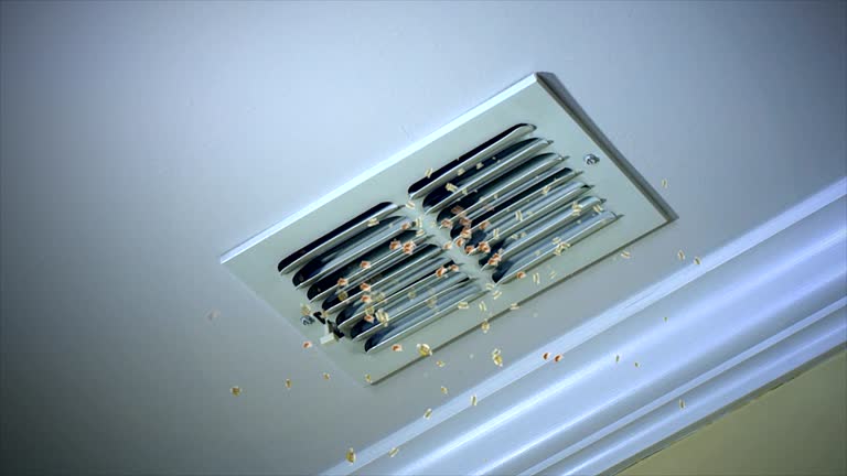 Best Emergency Air Duct Cleaning  in Larksville, PA